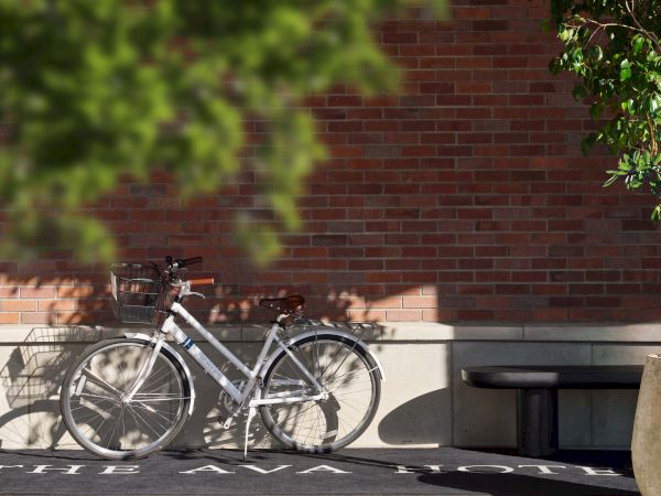 A pair of bicycles parked against a brick wall beside a bench, with greenery framing the top and a sunlit sidewalk behind them.