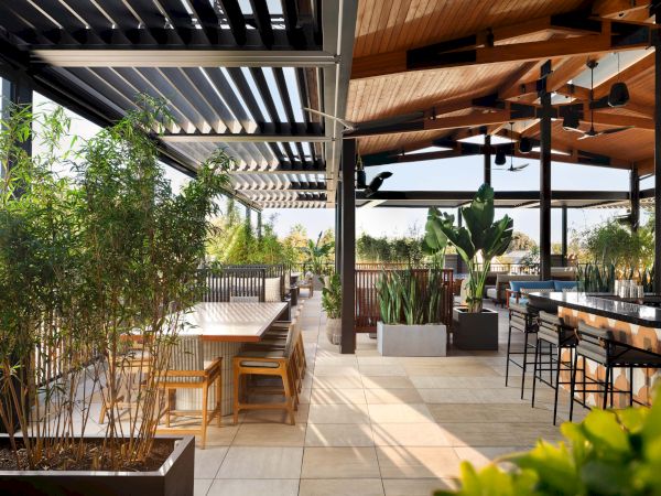 A bright outdoor dining area with wooden pergola, large plants, and bar seating, under a shaded terrace overlooking greenery.