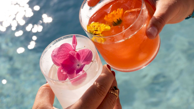 Two colorful drinks with flowers being clinked over a bright blue pool, summer vibes and cocktails in sunset light.