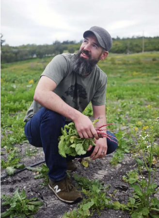 A bearded man kneels in a garden, harvesting leafy greens with his hands beside rows of vegetables.