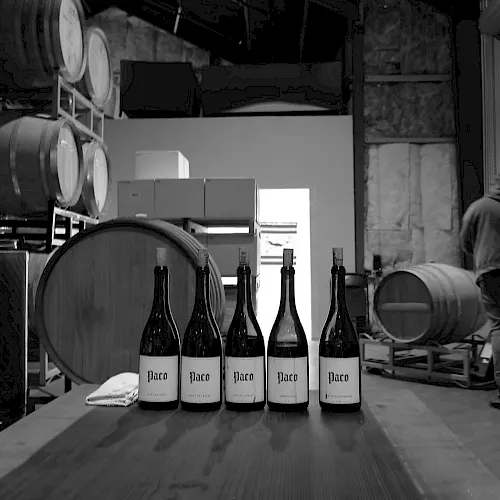 Inside a winery cellar, barrels and large drums line the room as a worker walks past a row of wine bottles labeled “Paco”.